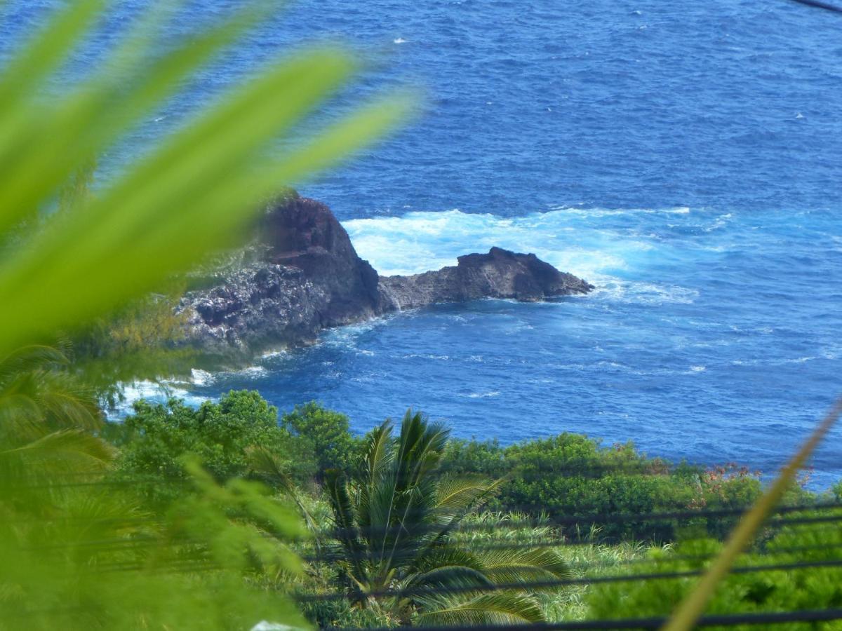 La Boheme, Residence De 5 Appartements Avec Piscine, Vue Ocean, Petite Ile Buitenkant foto